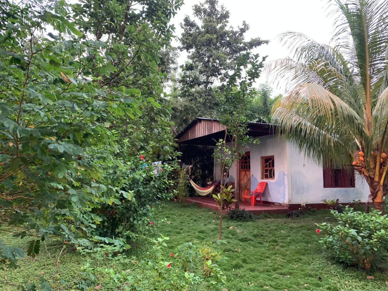 Bed & Breakfast Rosa's