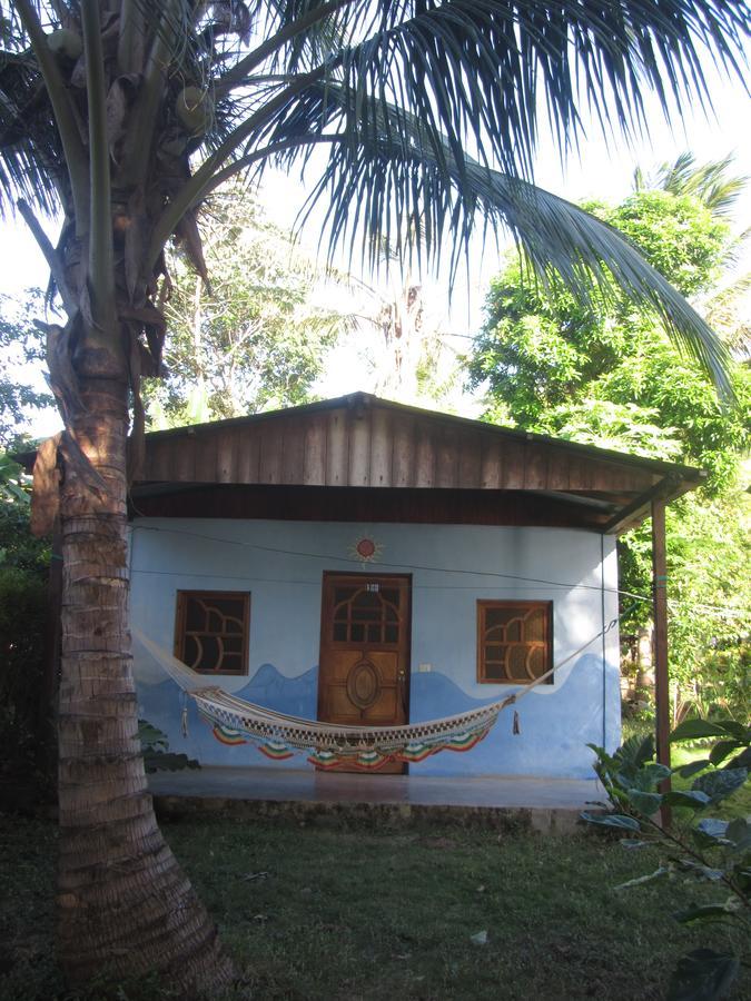 Rosa's Bed & Breakfast